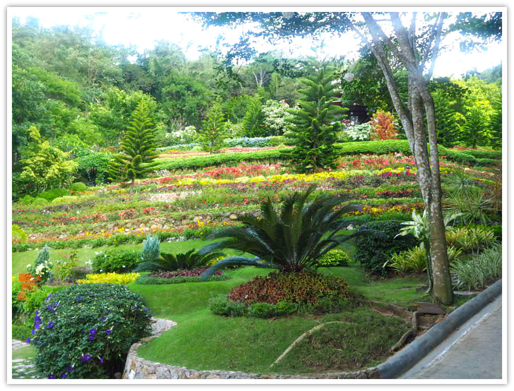 Terrazas De Flores Botanical Garden