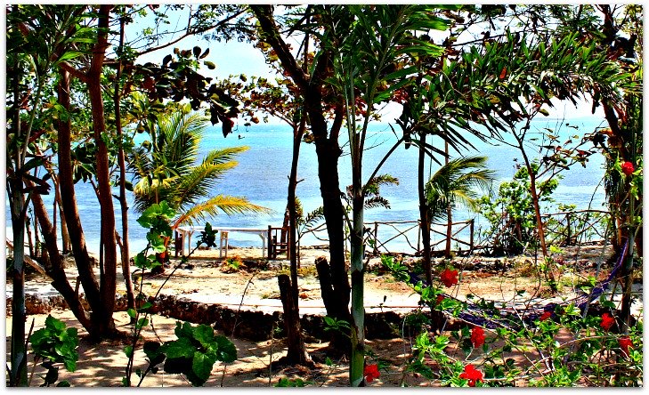 Seaview from Nature Park and Resort